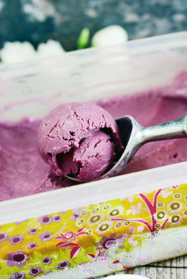 Blueberry-and-Lime-Ice-Cream-12