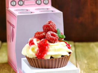 Chocolate & Raspberry cupcakes2