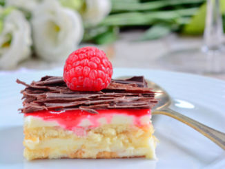 Lemon-Fridge-Tart piece