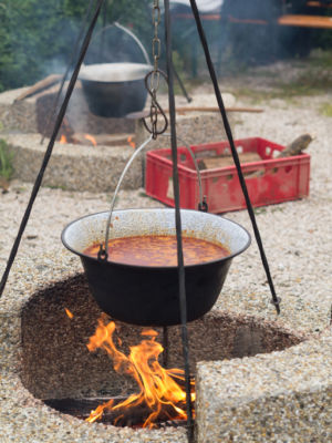 Hungarian goulash recipe