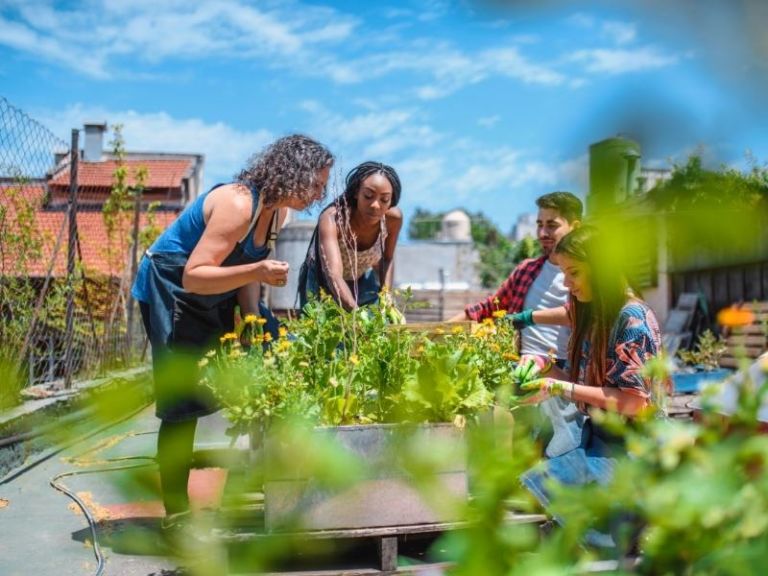 Urban Gardening bringt die Natur zurück in die Stadt