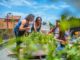 Urban-gardening-überblick