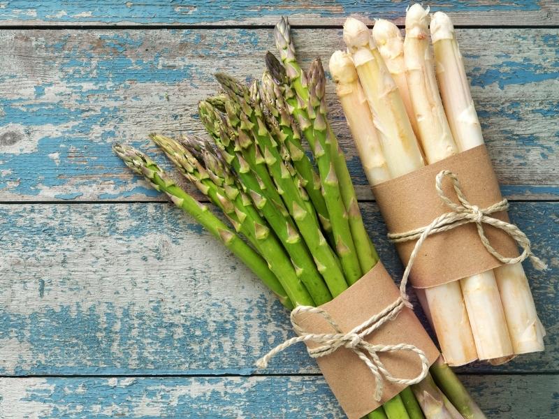 asparagus cream soup