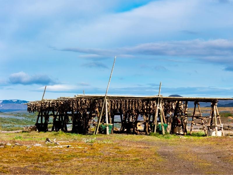 fischfang-island
