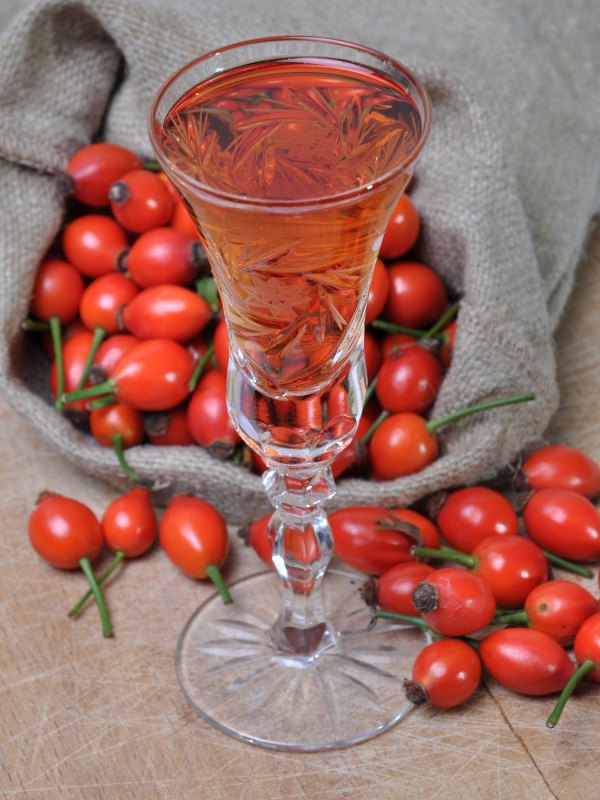 hagebuttenlikoer rezept