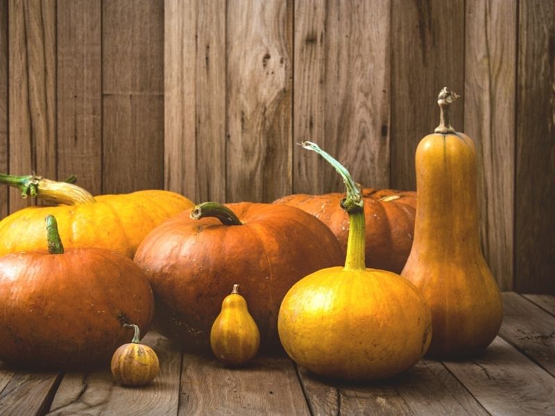 pumkins