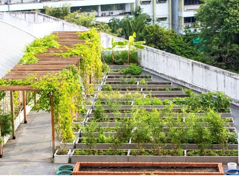 urban-gardening-dach