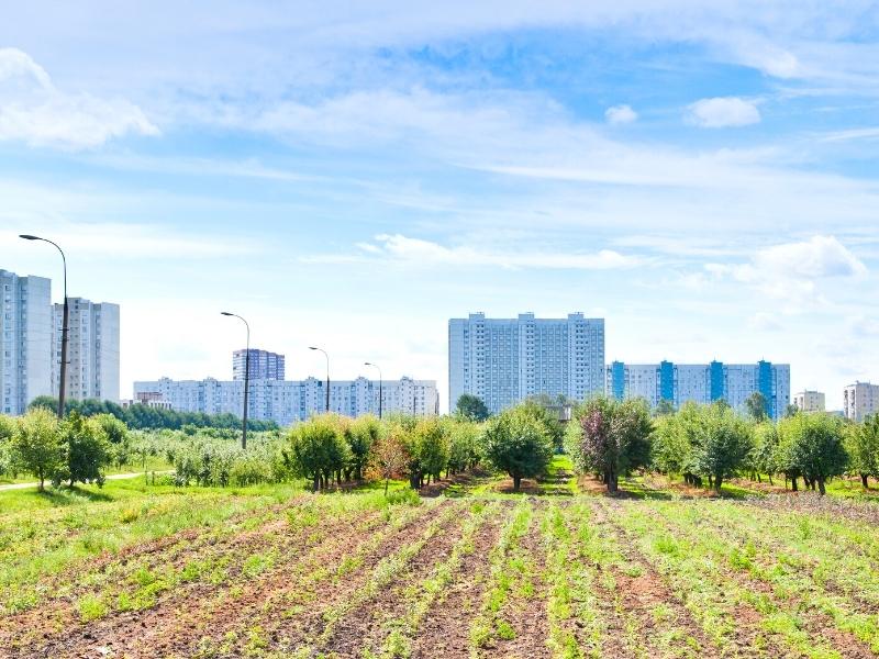 urban-gardening-stadt